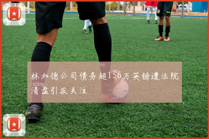 林加德公司债务超156万英镑遭法院清盘引发关注